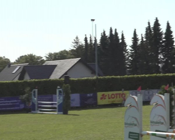 Reitturnier Moringen 2023