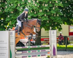 jumper Olina K (German Sport Horse, 2019, from Ogano)