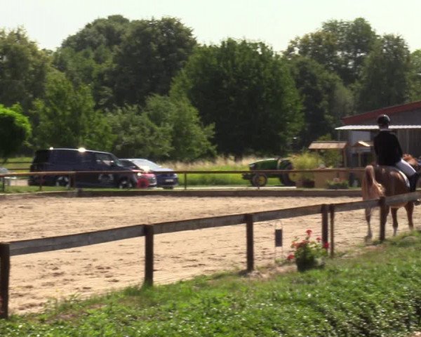 Reitturnier Mönchengladbach - Niershof 2023