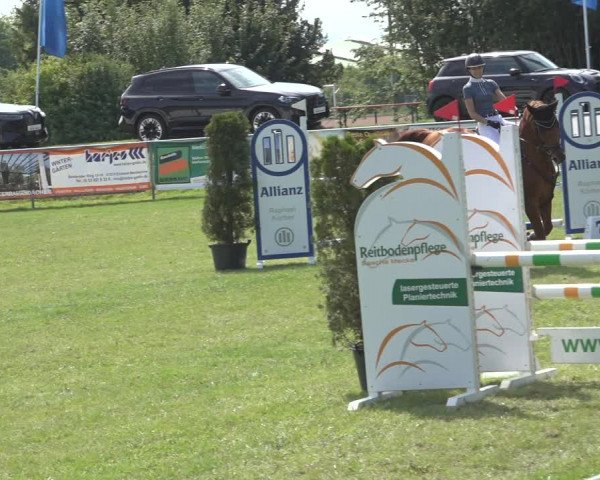 Reitturnier Moringen 2023