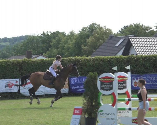 Reitturnier Moringen 2023