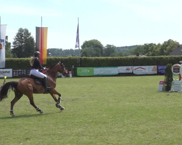 Reitturnier Moringen 2023
