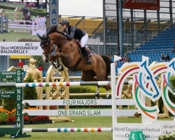jumper Baloubelle 5 (Oldenburg show jumper, 2013, from Baloubet du Rouet)