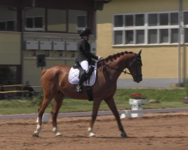 Reitturnier Prussendorf 2023