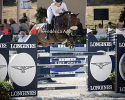 jumper Nina Vh Scheefkasteel (Belgian Warmblood, 2013, from Numero Uno)