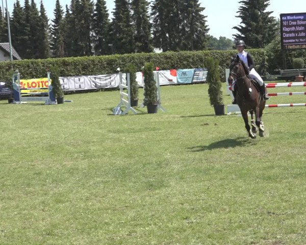 Reitturnier Moringen 2023