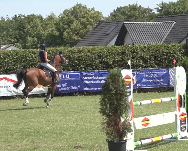 Reitturnier Moringen 2023