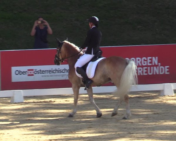 Reitturnier Stadl Paura 2023