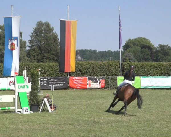Reitturnier Moringen 2023