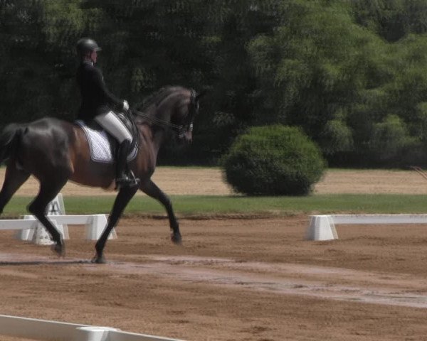 Reitturnier Prussendorf 2023