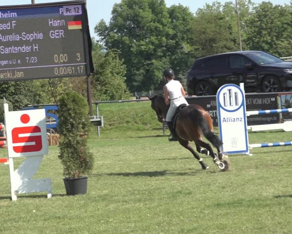 Reitturnier Moringen 2023