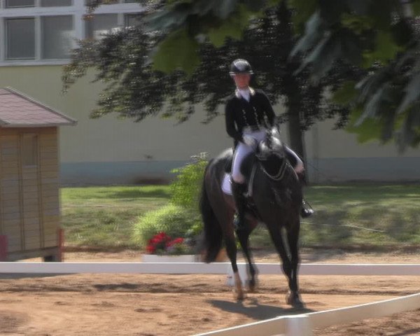 Reitturnier Prussendorf 2023