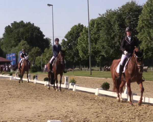 Reitturnier Münster-Roxel 2023