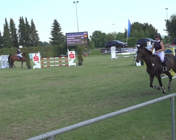 Reitturnier Moringen 2023