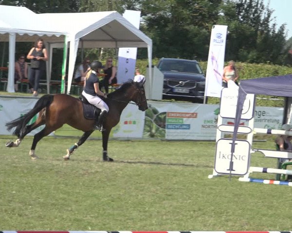 Reitturnier Moringen 2023
