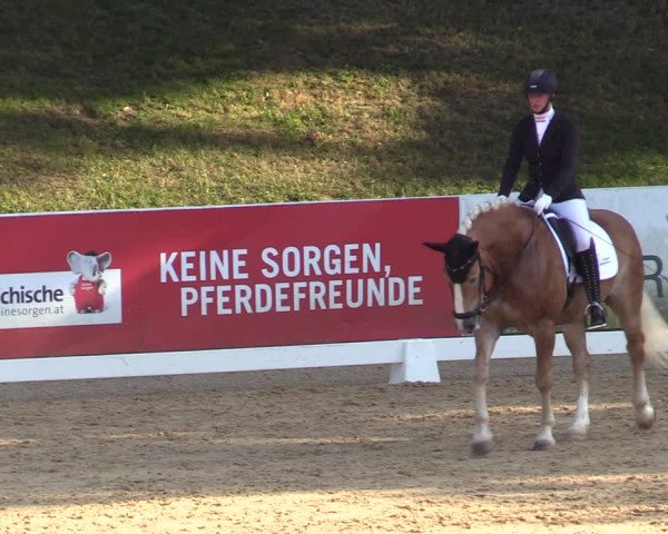 Reitturnier Stadl Paura 2023