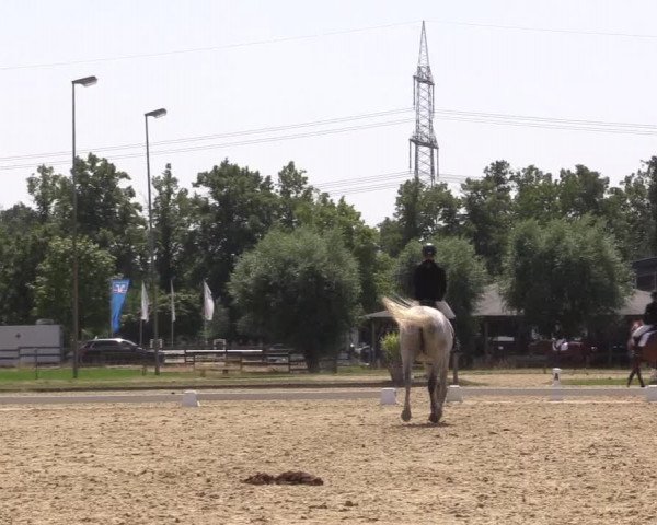 Reitturnier Münster-Roxel 2023