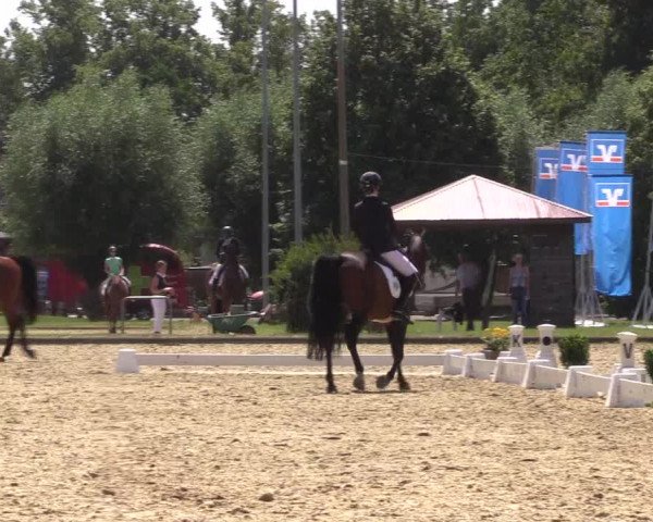 Reitturnier Münster-Roxel 2023