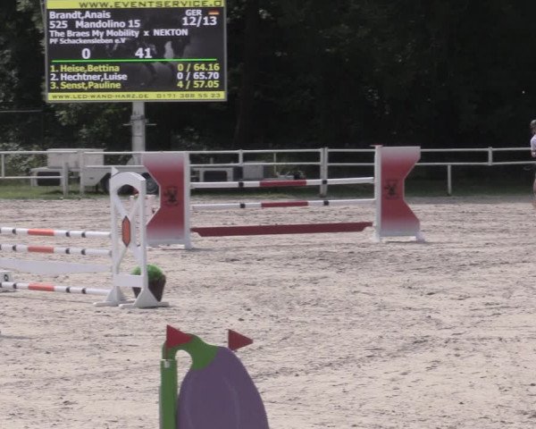 Reitturnier Prussendorf 2023