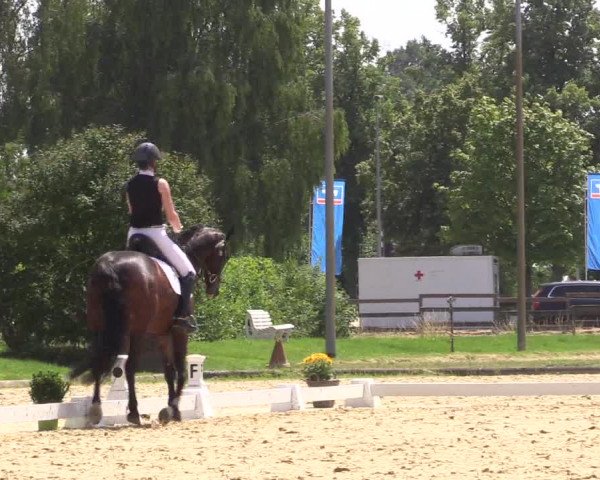 Reitturnier Münster-Roxel 2023
