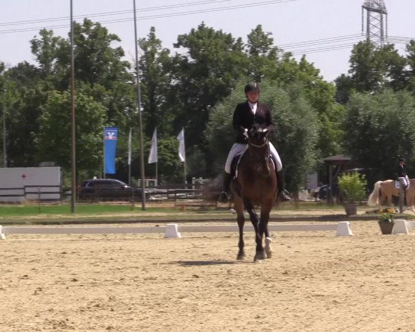 Reitturnier Münster-Roxel 2023