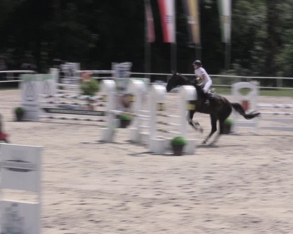 Reitturnier Prussendorf 2023