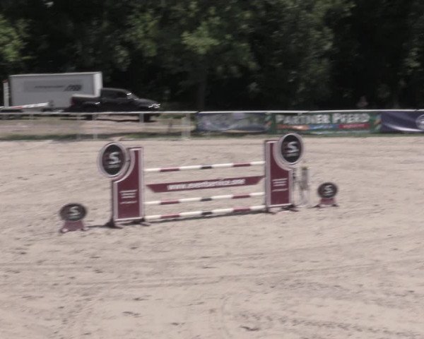 Reitturnier Prussendorf 2023