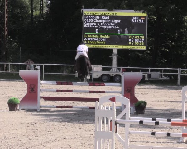 Reitturnier Prussendorf 2023