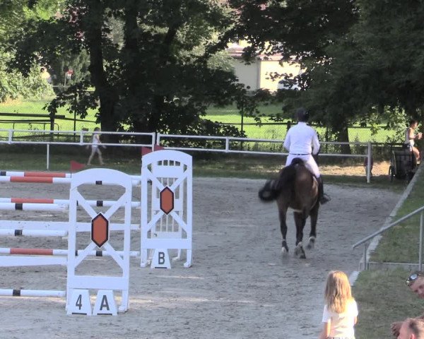 Reitturnier Prussendorf 2023
