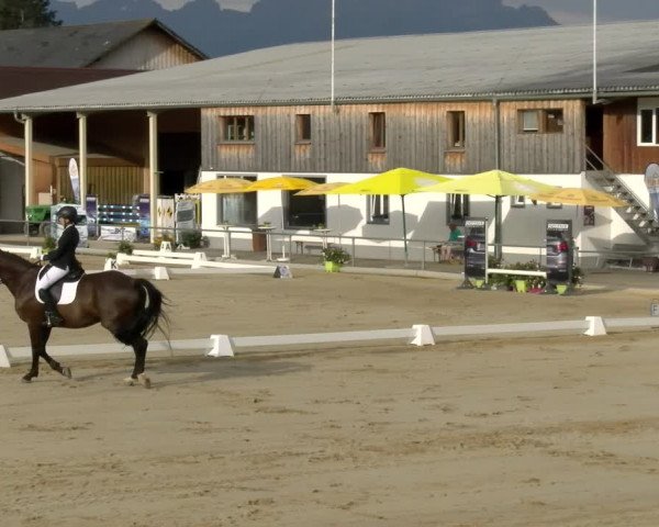 Reitturnier Rankweil 2023