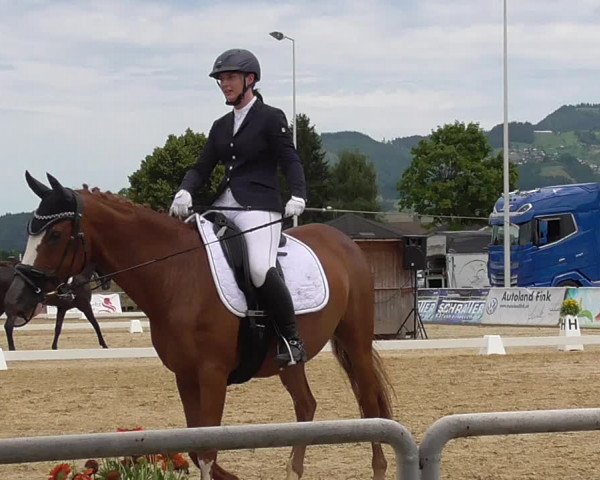 Reitturnier Rankweil 2023