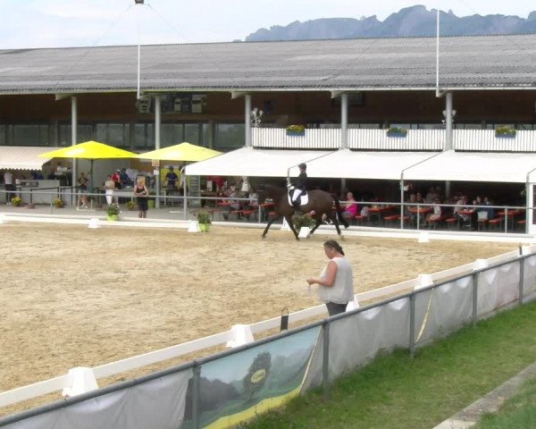 Reitturnier Rankweil 2023