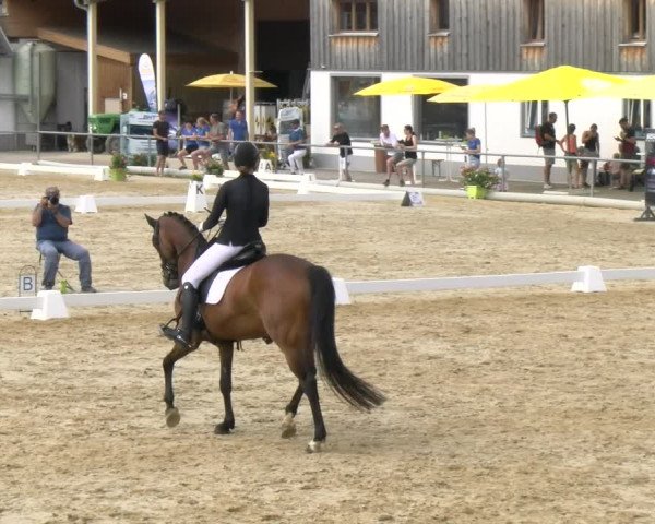 Reitturnier Rankweil 2023