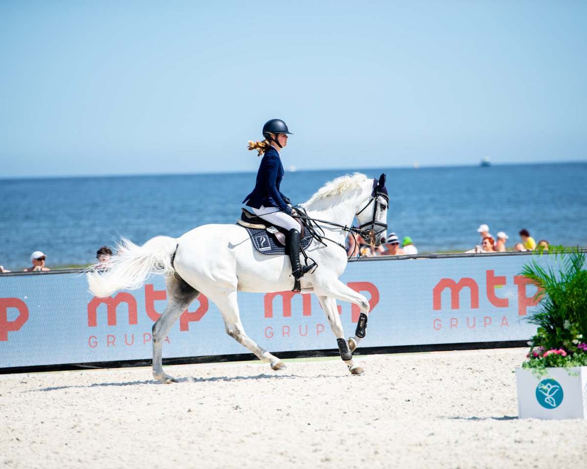 Springpferd Clintorado (Holsteiner, 2008, von Clinton I)
