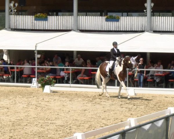 Reitturnier Rankweil 2023
