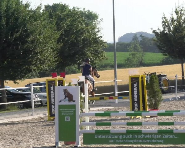 Reitturnier Beromünster 2023