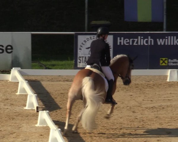 Reitturnier Stadl Paura 2023