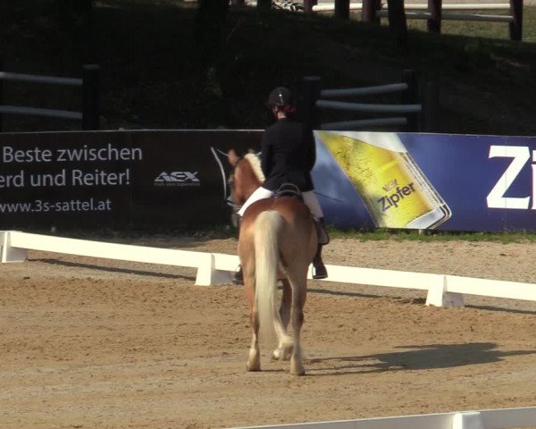 Reitturnier Stadl Paura 2023