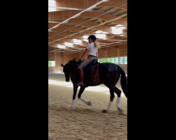 Video von Magic de Luxe CH