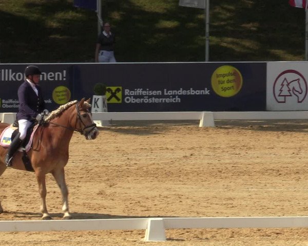 Reitturnier Stadl Paura 2023