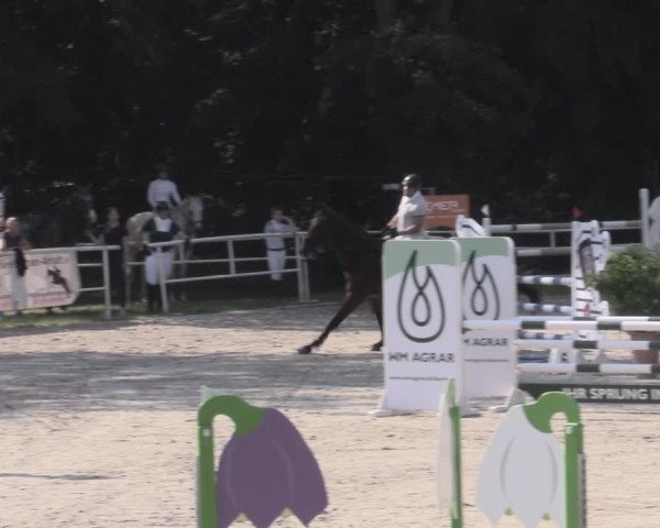 Reitturnier Prussendorf 2023