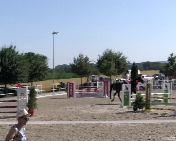 Reitturnier Beromünster 2023