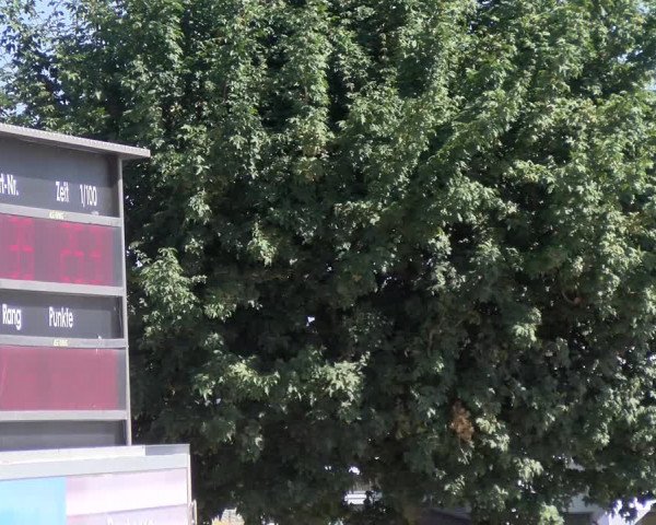 Reitturnier Beromünster 2023