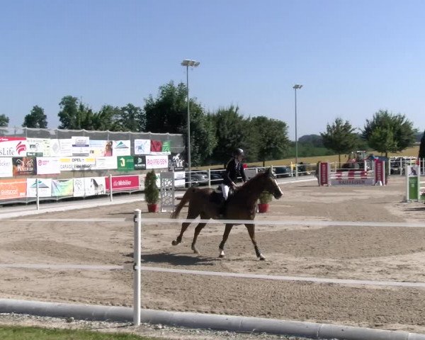 Reitturnier Beromünster 2023
