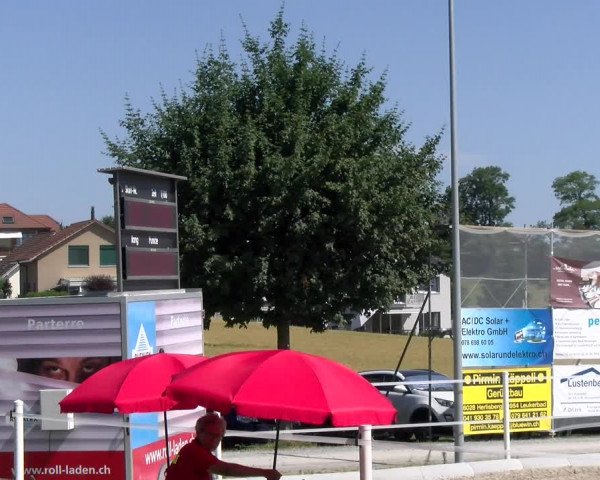 Reitturnier Beromünster 2023