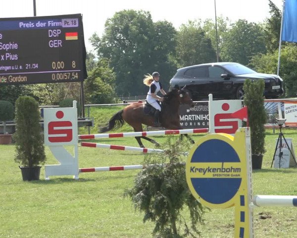 Reitturnier Moringen 2023