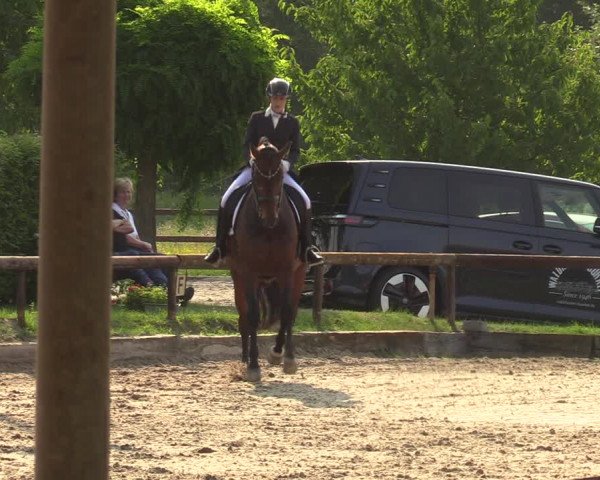 Reitturnier Mönchengladbach - Niershof 2023