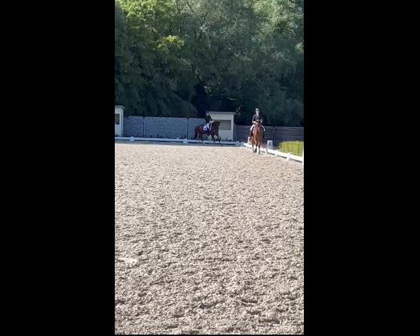 Video of Forrest GT