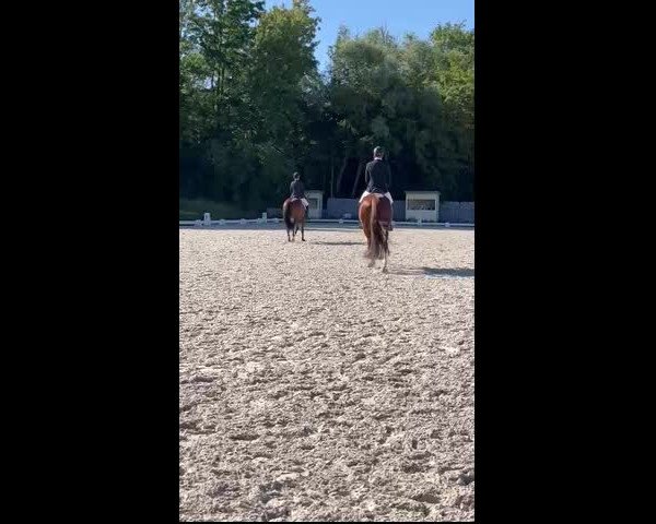 Video of Forrest GT