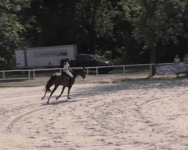 Reitturnier Prussendorf 2023
